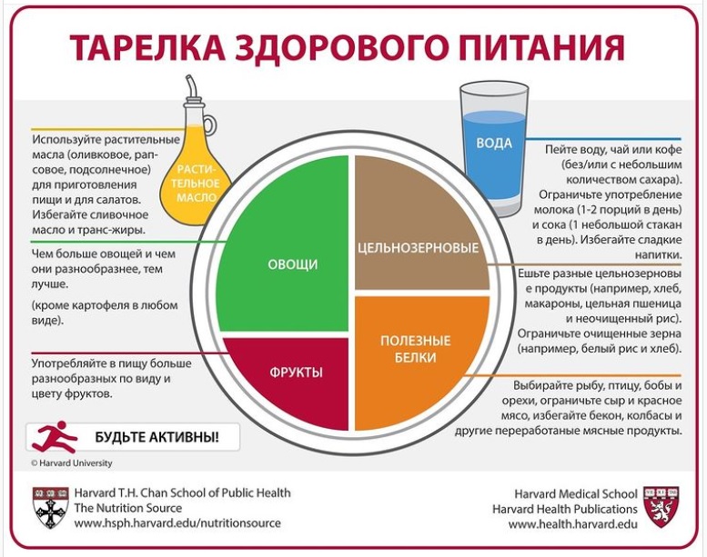 Здоровая тарелка