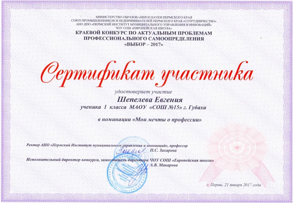 Выбор сертификат янв.17г