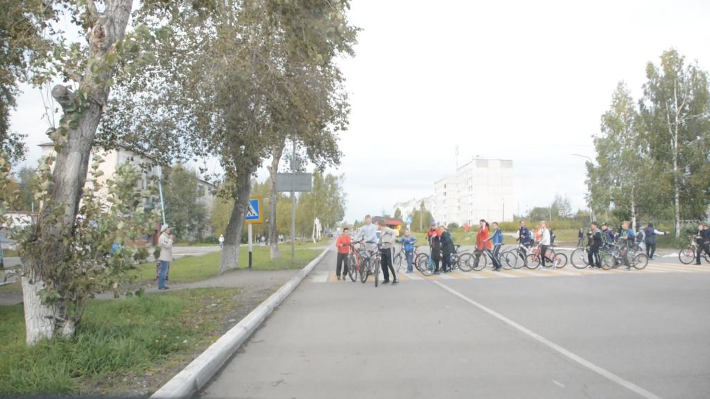 Гонка велоэрудитов